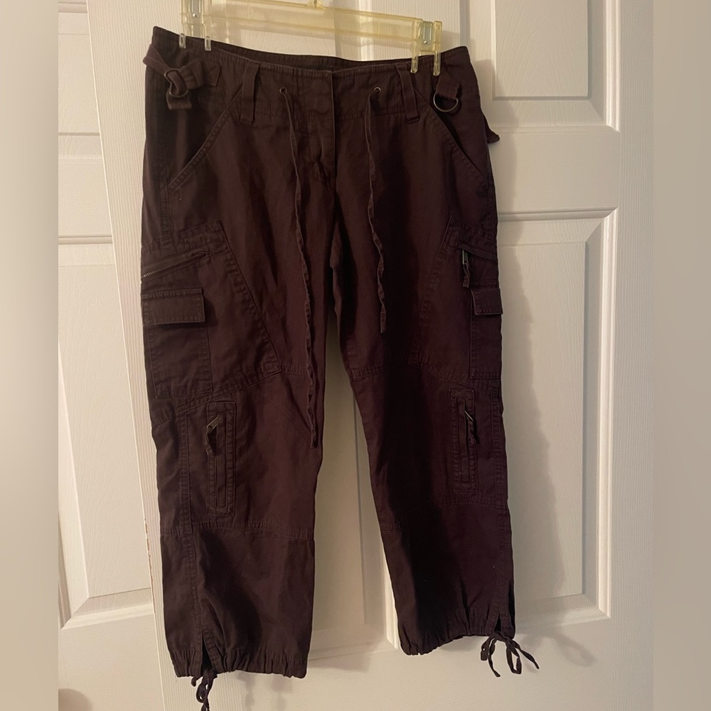The Limited Hiking Capris Womens Size 2 Outdoor Many Pockets Beach Walking